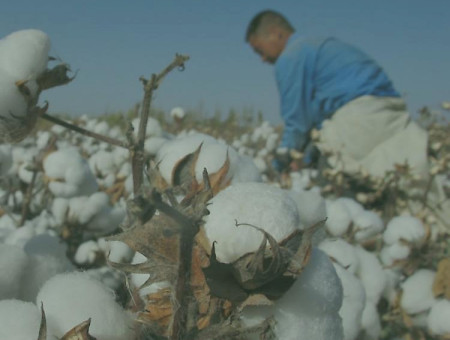 Fred Perry - O nosso passado, O nosso presente, O nosso futuro